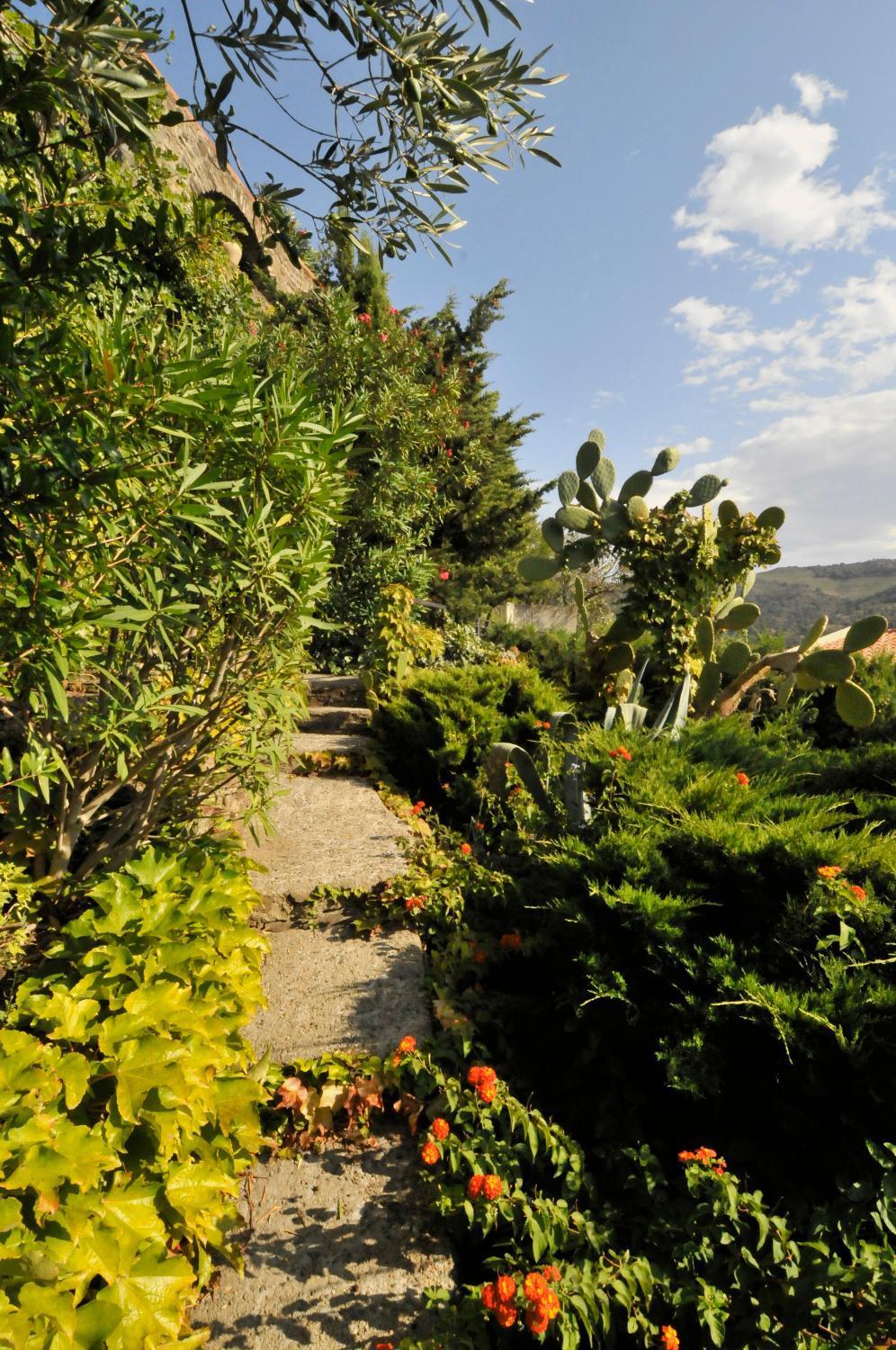 Hotel Mediterranee Collioure Luaran gambar